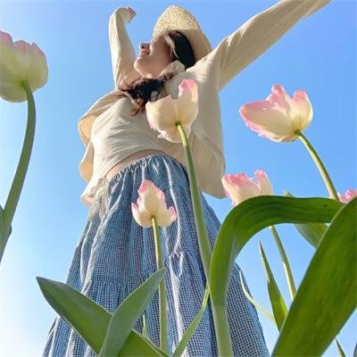 星游记之风暴法米拉