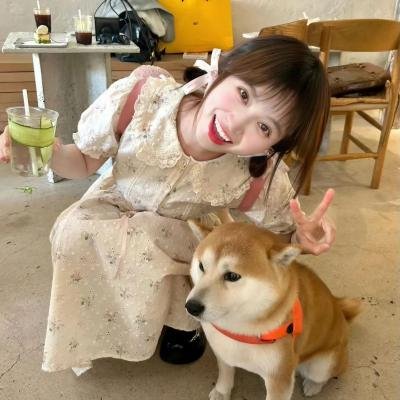 标准流程